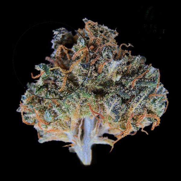 Sour Space Candy Hemp Flower