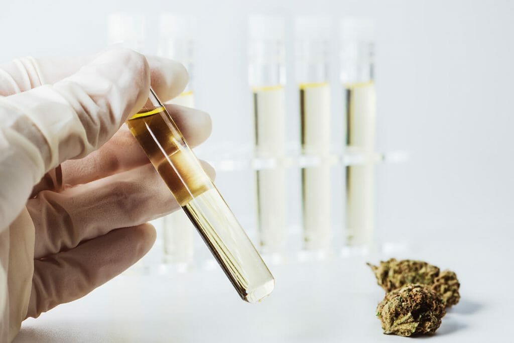 How to Read a CBD Flower Lab Report