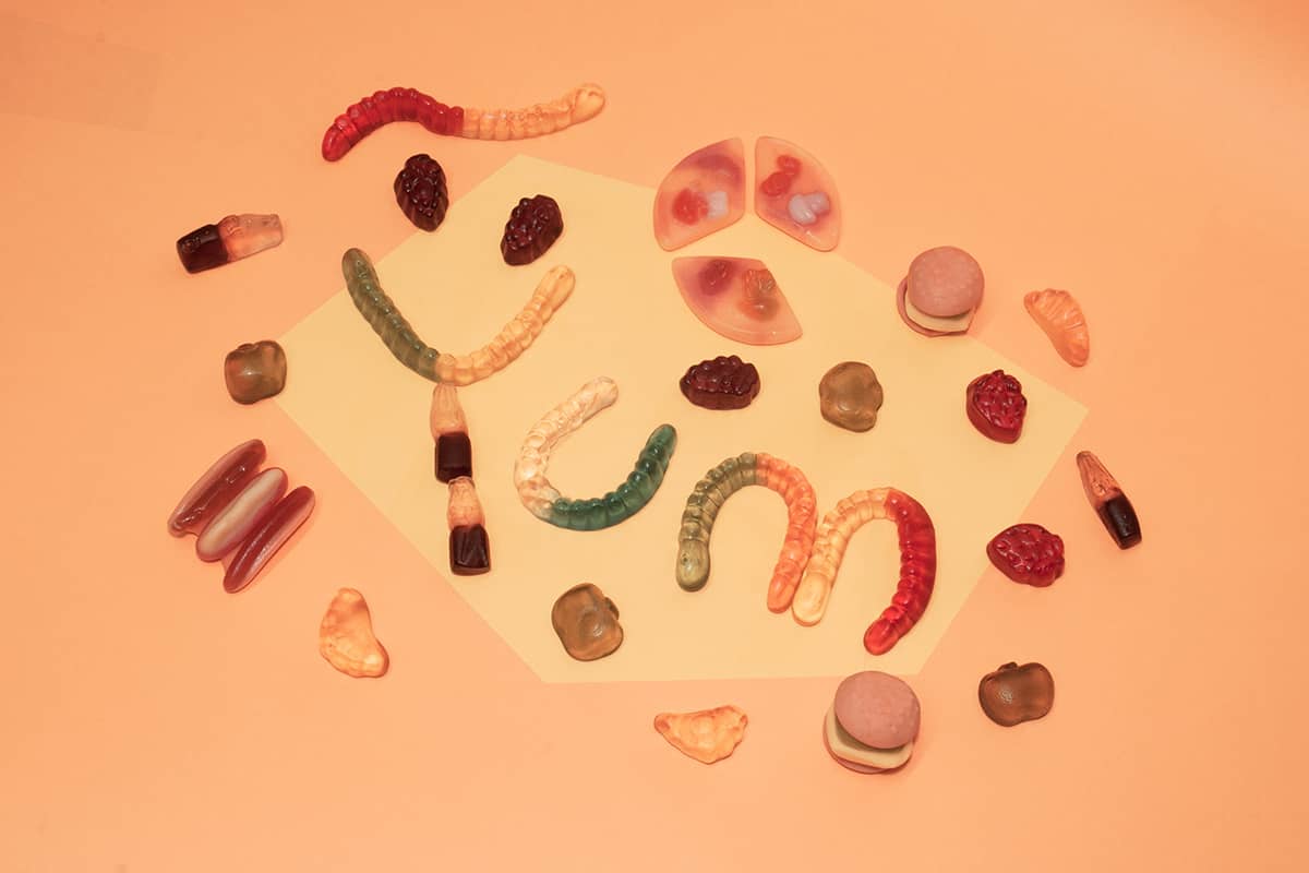 How to make CBD gummes with oil