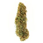 Forbidden V CBDV strain
