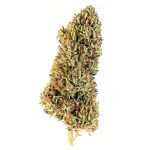 Pine Walker CBDV strain