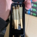 half gram dogwalker pre rolls