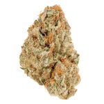 Creamsicle Indoor