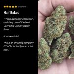 Half Baked Review