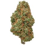 Mai Tai Indoor 002_111