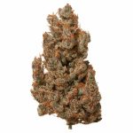 Grapefruit CBD strain