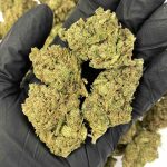 Blue Halo THCa