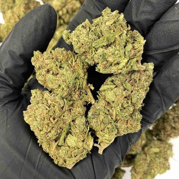 Blue Halo THCa
