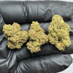 Candy Runtz THCa
