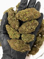 Eye Candy THCa