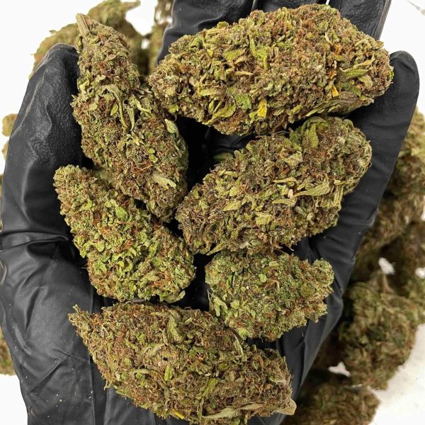 Eye Candy THCa
