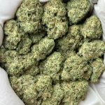 Gorilla Glue #4 THCa