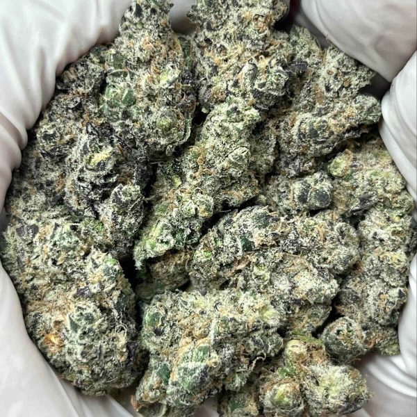 Gov Oasis THCa Indoor Exotics