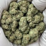 Grape Gas THCa