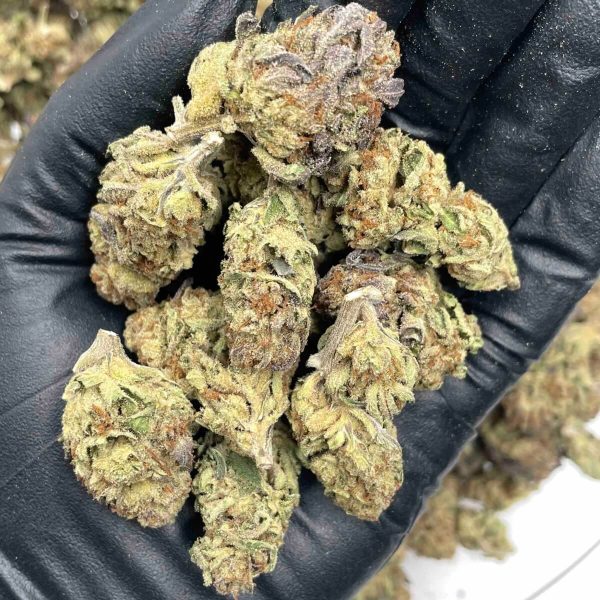 Illuminati THCa