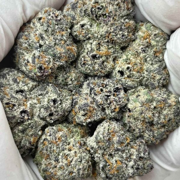 Illuminati THCa Indoor