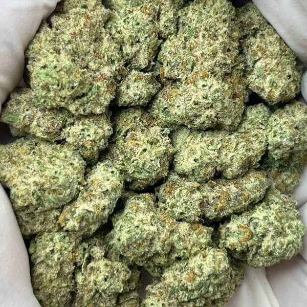 Secret Cookies THCa