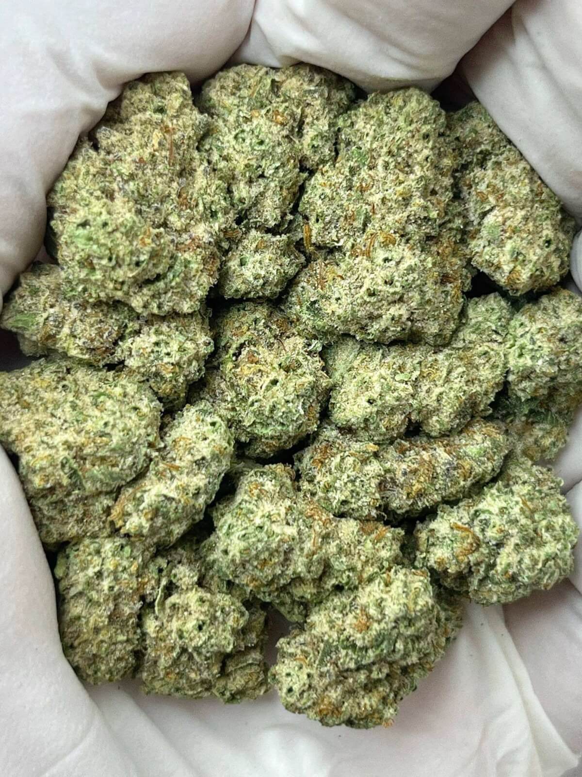 Secret Cookies THCa Secret Cookies THCa