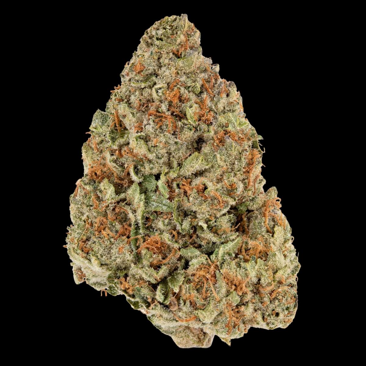 Pure Michigan THCa Pure Michigan THCa