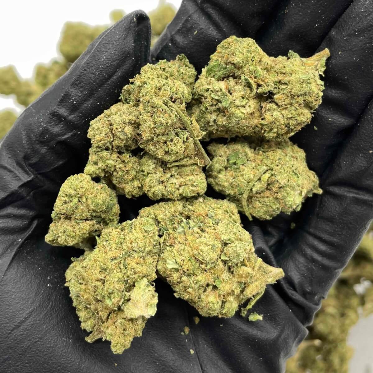 Wedding Cake THCa Wedding Cake THCa