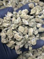 Animal Mints THCa Smalls