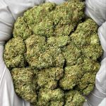 Mule Fuel THCa