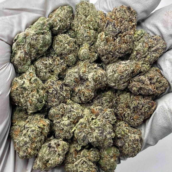 Black Cherry Gelato THCa