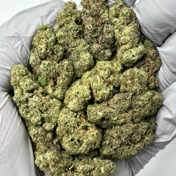 Government Oasis THCa