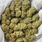 Glitter Bomb THCa Flower