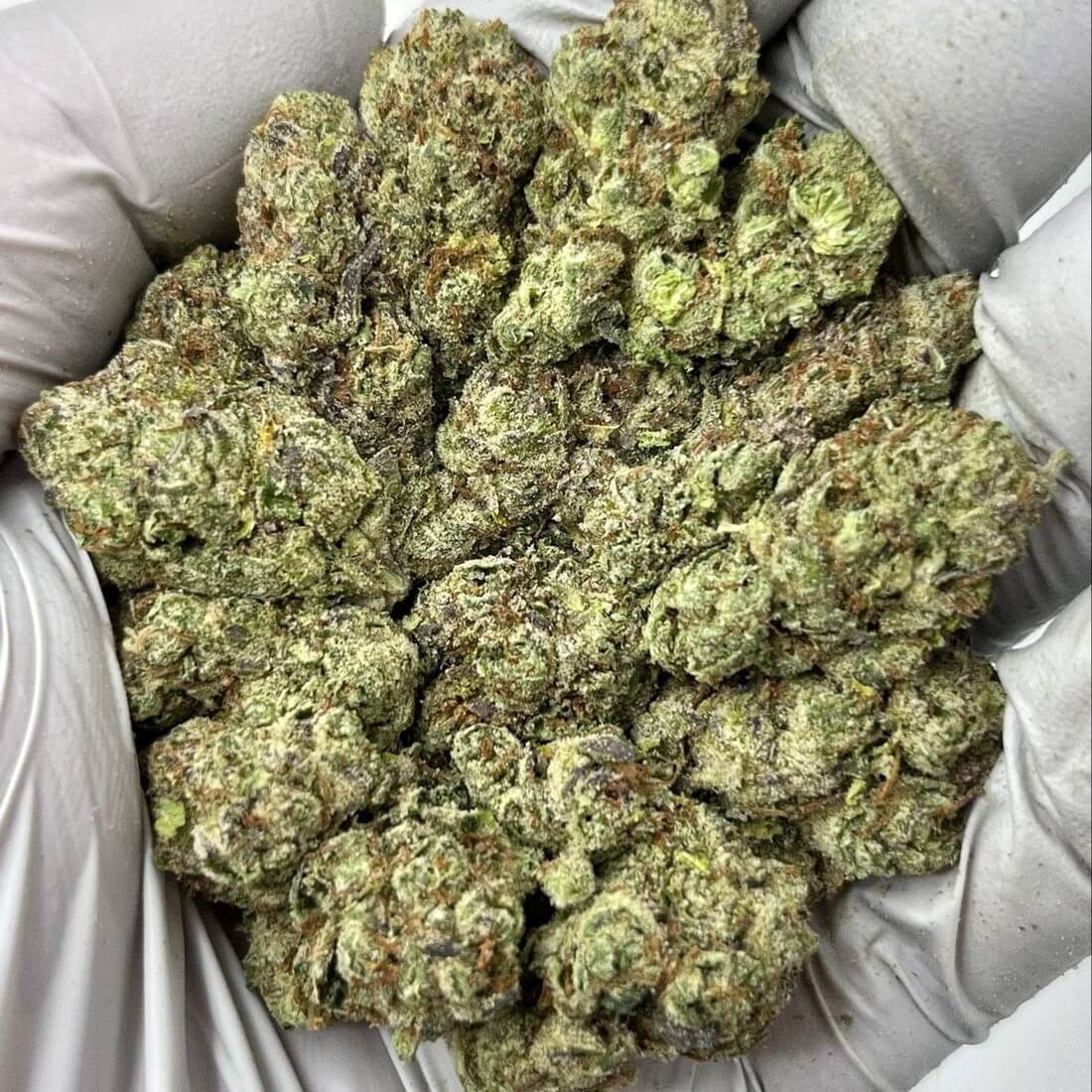 Super Lemon Cherry THCa Super Lemon Cherry THCa