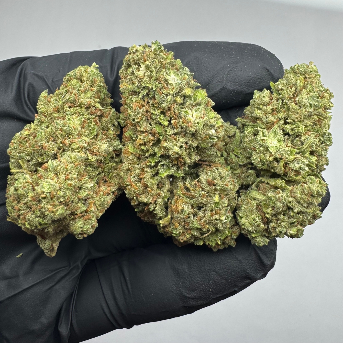 Watermelon Zkittlez THCa | Balanced Hybrid +25% THCa | $99/oz