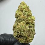 Watermelon Zkittlez THCa