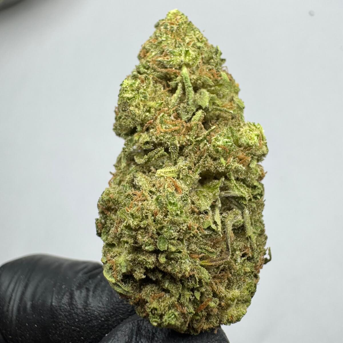 Watermelon Zkittlez THCa | Balanced Hybrid +25% THCa | $99/oz