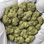 Zkittlez THCa