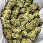 Cadillac Rainbow THCa