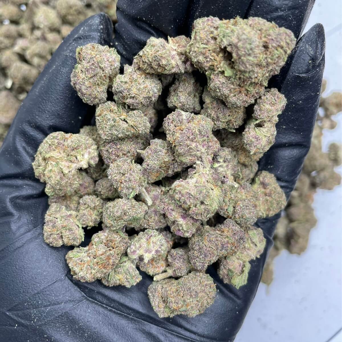 Cherry Pie Runtz THCa Smalls Indoor