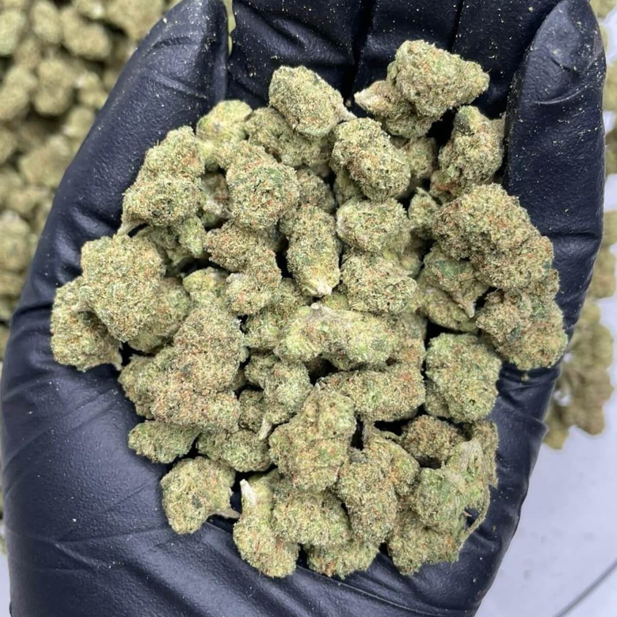 Gary Payton THCa Smalls Indoor
