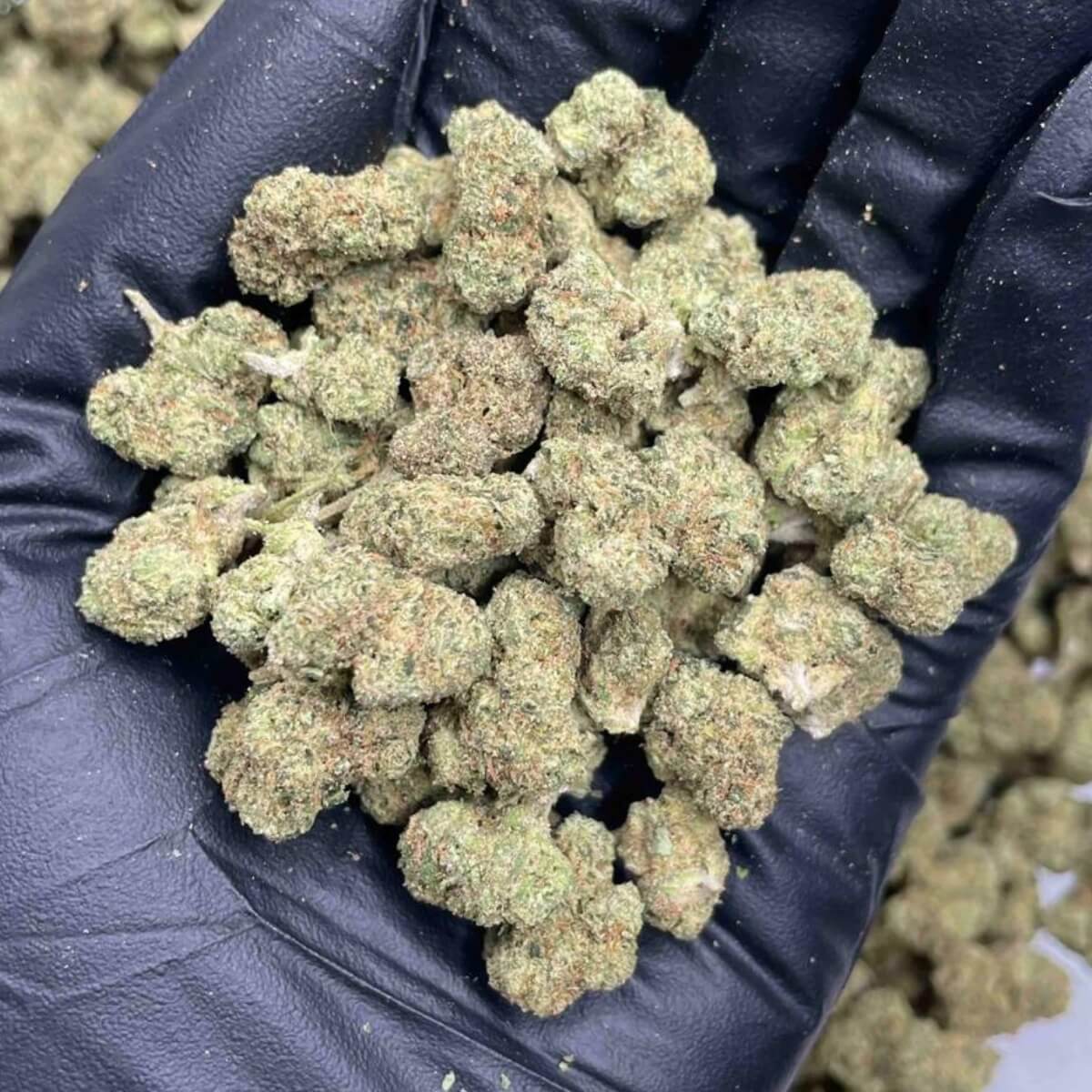 indoor smalls