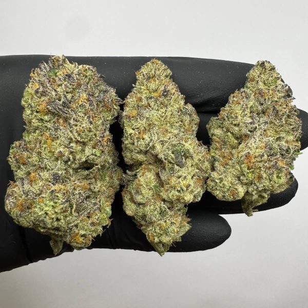 Jet Fuel Gelato THCa (2)