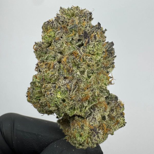 Jet Fuel Gelato THCa