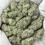White Widow THCa