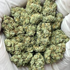 Blue Halo THCa
