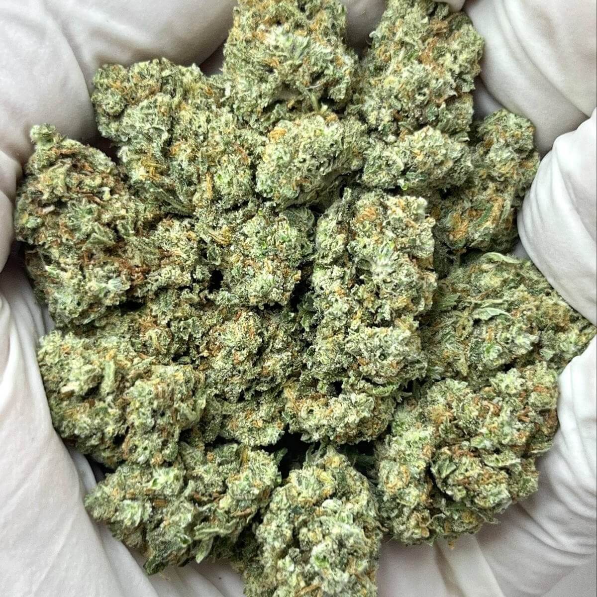 Blue Halo THCa Blue Halo THCa