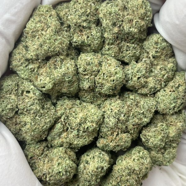 G33