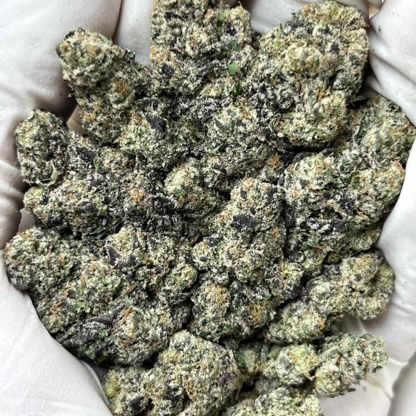 Astro Candy THCa Indoor Exotic