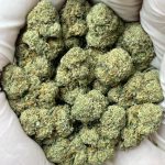 Buddhas Hand THCa