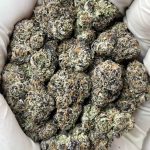 Heir Heads THCa Indoor Exotics