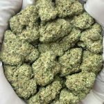 Oreoz THCa
