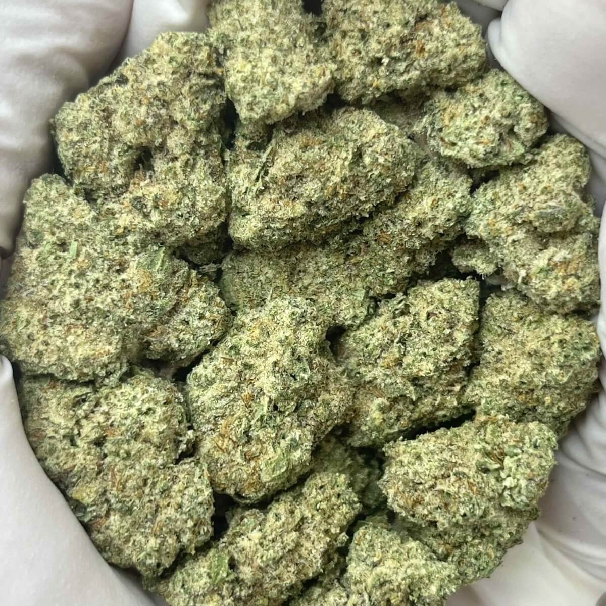 Oreoz THCa Oreoz THCa
