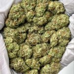 Animal Mintz THCa